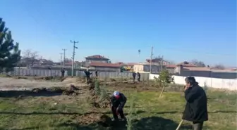 Yeşiltepe'de Fidan Dikme Seferberliği Başladı