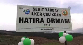 Yanan Orman Alanına 3 Bin Fidan Dikildi