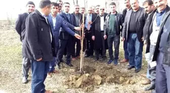 Çiftçilere Meyvecilik Eğitimi