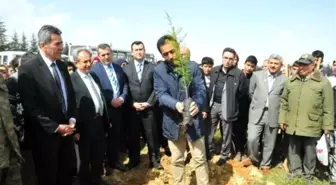 Akşehir'de Protokol ve Öğrencilerden 850 Fidan