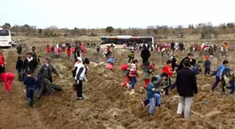 Eskişehir'de 21 Okul, 21 Bin Fidanı Toprakla Buluşturdu