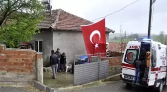 Nusaybin'deki Ateş Balıkesir'e Düştü