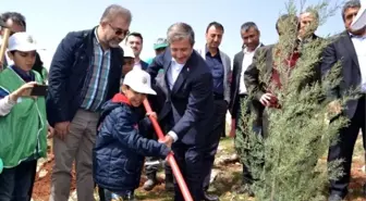 Gaziantep İhh Yetimler İçin Diktti