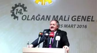 Nursaçan Güven Tazeledi