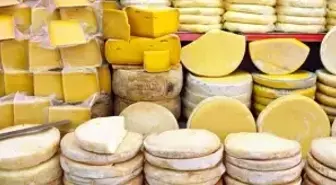 Türkiye'nin En İyi 10 Peyniri