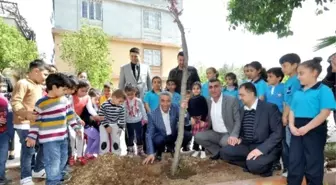 Büyükşehir, Okulların Bahçelerini Ağaçlandırıyor