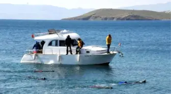 Bodrum'da Deniz Dibi Temizliği Ortakent'te Sürdü