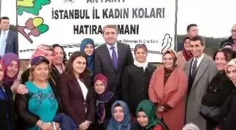 AK Parti'li Temurci: 'Dünyadaki Her Bir İnsan İçin 7 Milyar Fidan Hedefliyoruz'