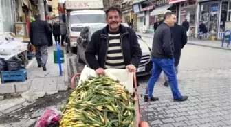 Baharın Müjdecisi Çiriş Tezgahlarda Yerini Aldı