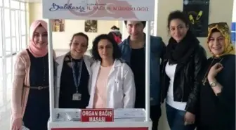 Baün'de Organ Bağış Standı Açıldı