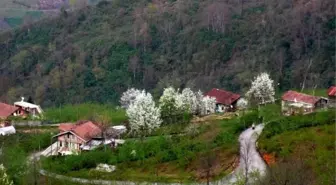 Köylülerin Bahar Mesaisi Başladı