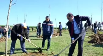 Nkü'nün Onuncu Yıl Anısına Fidan Dikim Töreni