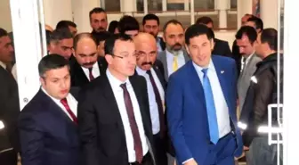 Sinan Oğan: Hangi Yüzle Yüksek Ücret Karşılığı Kezban Hatemi'den Görüş İstersiniz?