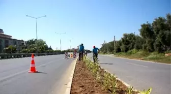 Alanya'da Orta Refüjlere Peyzaj Çalışması