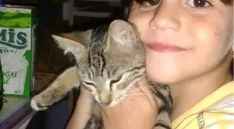 Köpeği Minik Burak'ın Tabutunun Başından Bir An Olsun Ayrılmadı
