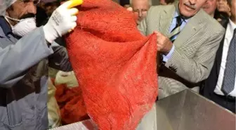 Besaş'tan Tarladan Sofraya Kırmızı Biber