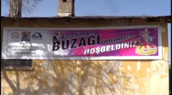 Bingöl'de 'En Güzel Buzağı' Yarışması Düzenlendi