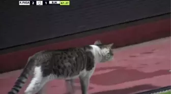 Kasımpaşaspor-Beşiktaş Maçında Davetsiz Misafir
