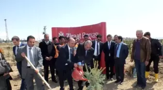 Yyü'de Yılın İlk Fidanları Diktirildi