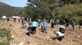 Marmaris'te 'Polis Hatıra Ormanı'