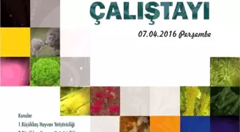 Menderes'te Tarım ve Hayvancılık Çalıştayı
