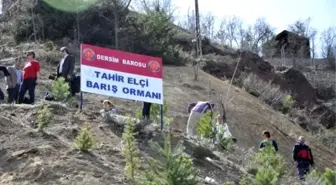 Tunceli'de Tahir Elçi İçin Barış Ormanı