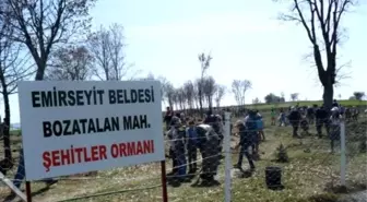 Şehitler Ormanı İçin Fidan Diktiler