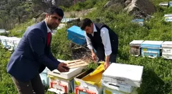 Kabızlık Sorunu Bu Defa Türk Arılarını Vurdu