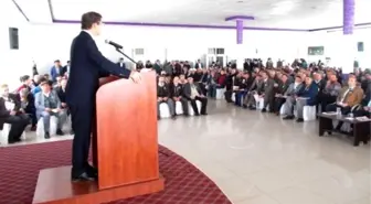 Erciş'te Kutlu Doğum Haftası Etkinliği