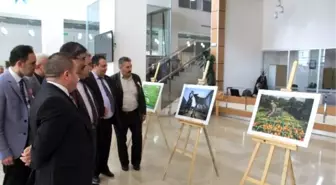 Sivas'ta 'Tarım ve İnsan' Adlı Fotoğraf Sergisi Açıldı