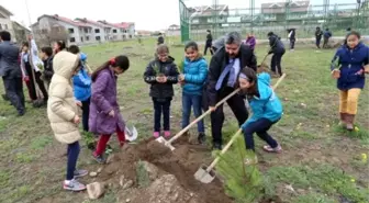 Melikgazi'de 4000 Adet Çam ile Çınar Fidanı Toprakla Buluştu