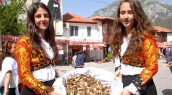 Fethiye'de Mantar Festivali Coşkusu