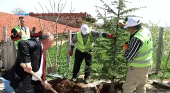 Han'ı Yeşillendirme Seferberliği Sürüyor