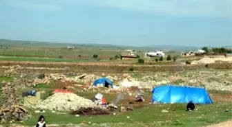 Nusaybin'deki Operasyondan Kaçan Ailenin, Midyat'ta Çadırda Yaşam Savaşı