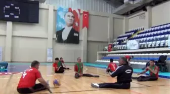 Oturarak Voleybol Ligi - Muğla