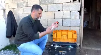 Büyükbaş Hayvanlara Yayla Öncesi Tırnak Bakımı