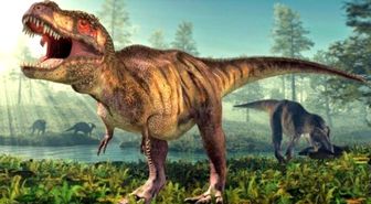 Kuşlar Dinozorlar Gibi Yok Olmaktan Nasıl Kurtuldu?