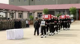 Nusaybin Şehitleri Memleketlerine Uğurlandı