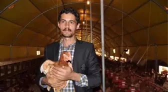Tavuk Çiftliği Kurdu, Organik Yumurta Üretiyor