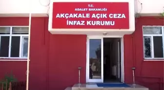 Hükümlüler Üreterek Kazanıyor