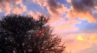 Tamirane'de Bu Hafta Sonu