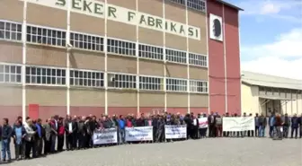 Erzurum Şeker'de, Kadro İçin Günde 2 Saat Ücretsiz Çalışma Eylemi