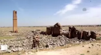 Harran'da 900 Yıllık Şadırvan İzleri