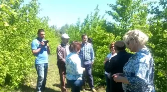 Sığla Almanya'da Tanıtılacak