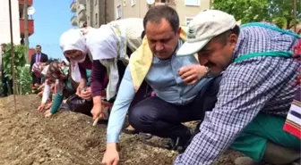 Giresun Belediyesi'nden 'Üreten Giresun, Üreten Türkiye' Kampanyası