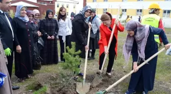 Sarıkamış'ta Ak Kadınlar Fidan Dikti