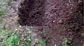 Ondokuz Mayıs Üniversitesi'nde Açılan Mezar Korkuttu