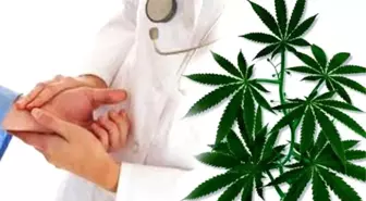 Almanya'da Ağır Hastalara Esrar Serbest
