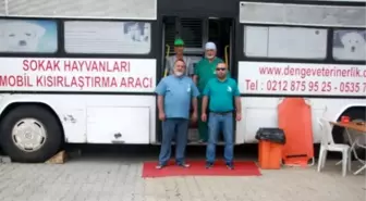 Amasra'da Sokak Hayvanları Kısırlaştırılıyor