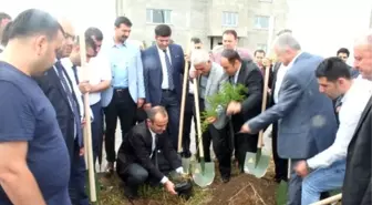 Cizre'de 2 Bin Fidan Toprakla Buluştu